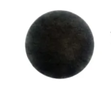 CLEANSTAR-PREMOTORFILTER-VC10LP