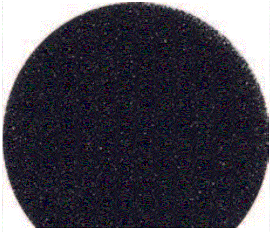 [VHIPSTAR-10] CLEANSTAR- EXHAUST FILTER HIPSTAR VACUUM CLEANER(VHIPSTAR)